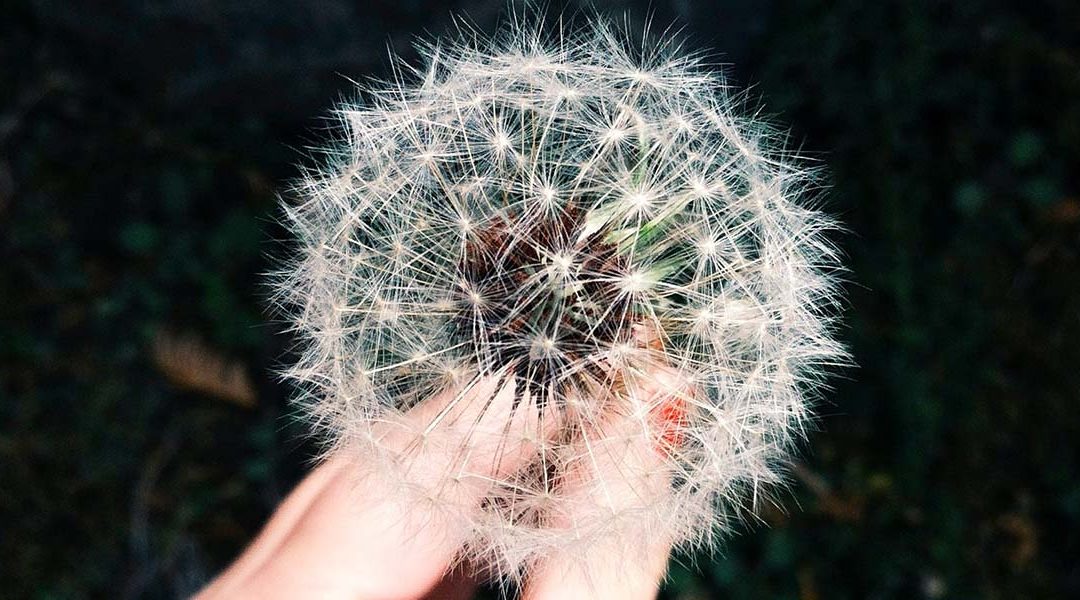 When to Seek Allergy Relief and Treatment